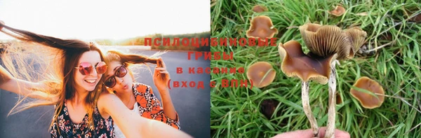 mix Алексин